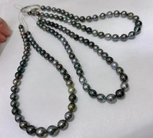 Load image into Gallery viewer, 8-10mm Baroque Morandi Tahitian Pearls
