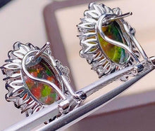 Load image into Gallery viewer, 12.6ct Black Opal
