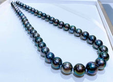 Load image into Gallery viewer, 8-11mm Peacock Tahitian Pearls! Full Round, Excellent Luster!
