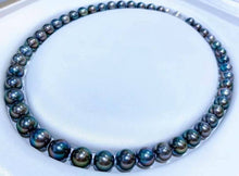 Load image into Gallery viewer, 8-11mm Peacock Tahitian Pearls! Full Round, Excellent Luster!
