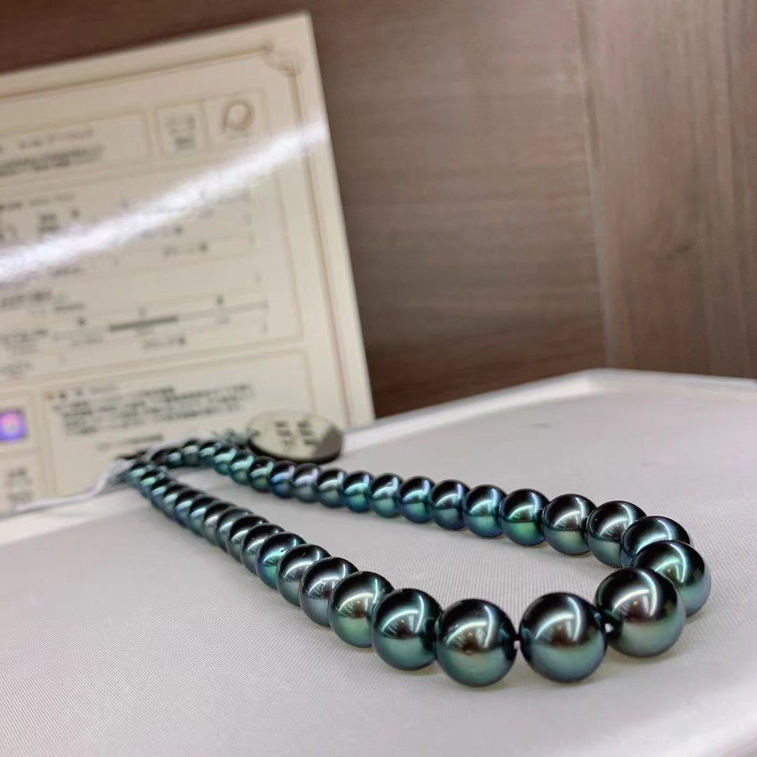 8.1-10.9mm Peacock Blue Green Tahitian Pearls